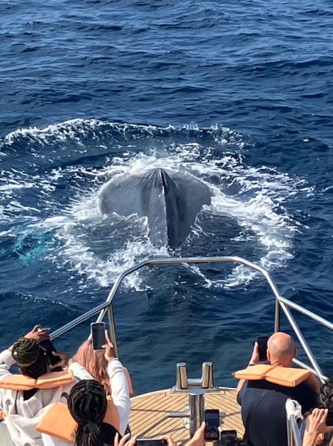 chatan-okinawa-whale-watching-cruise