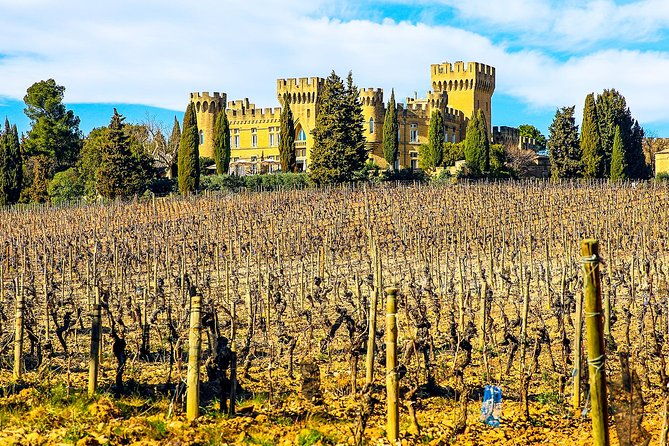 chateauneuf-du-pape-intensive-vineyard-fine-wine-experience