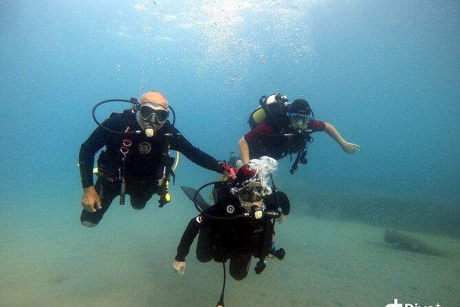 diving-baptism-in-the-marine-reserve-of-cabo-tinoso