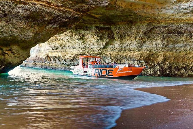 dolphin-watching-and-caves-cruise