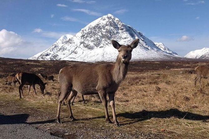 glasgow-loch-ness-glencoe-and-the-highlands-day-tour
