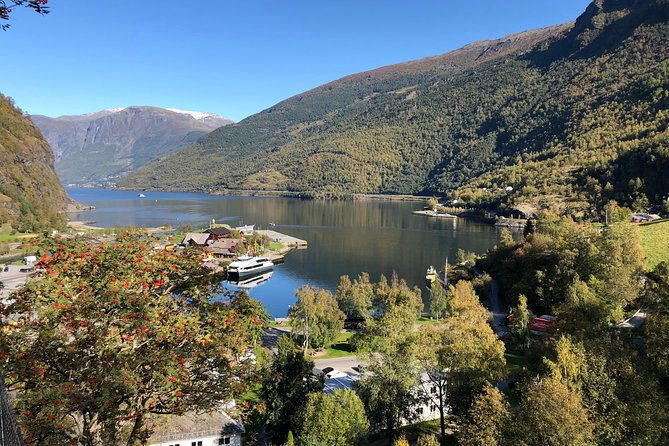 guided-tour-to-naeroyfjorden-flam-and-stegastein-viewpoint-cruise
