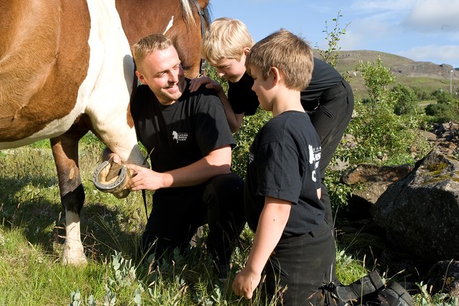 icelandic-horseback-riding-tour-including-pick-up-from-reykjavik