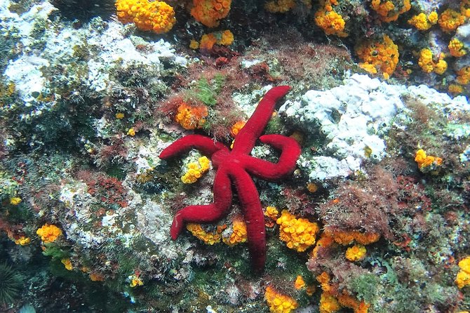 kayak-snorkel-tour-in-cerro-gordo-natural-park-la-herradura