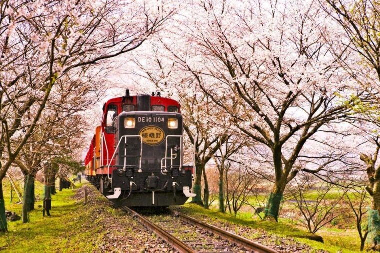 kyoto-osaka-nara-fushimi-inari-arashiyama-full-day-tour
