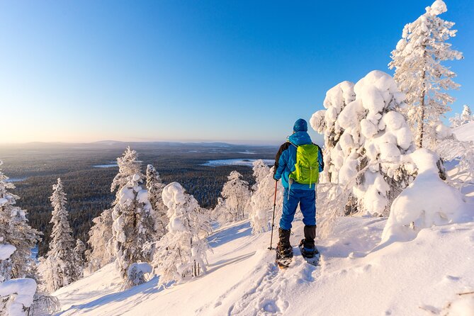 lapland-winter-experience