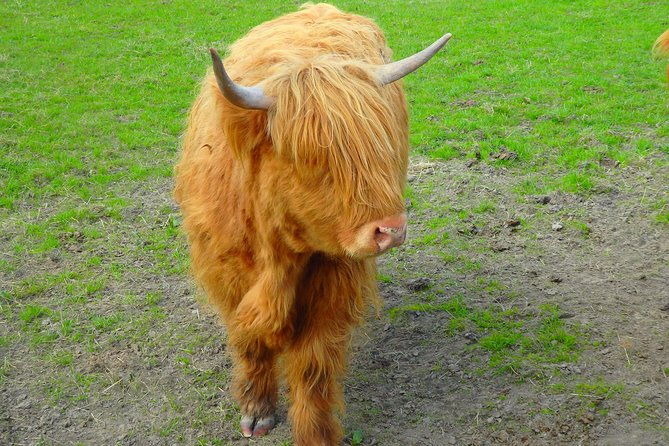 loch-ness-culloden-battlefield-private-tour-from-inverness