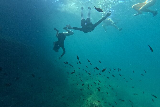 multi-adventure-in-mallorca