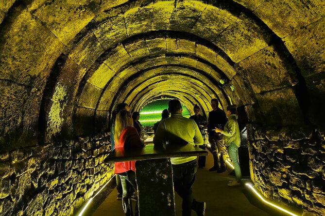 premium-ribera-del-duero-tour-with-winemaker-guide