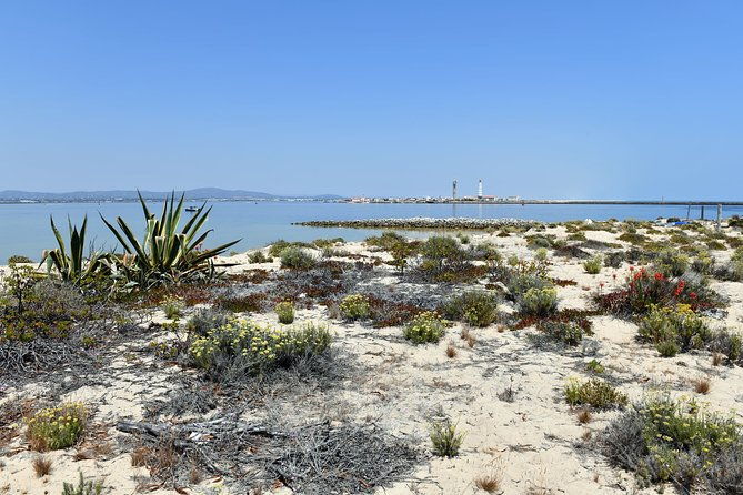 private-sightseeing-boat-tour-in-ria-formosa-at-olhao
