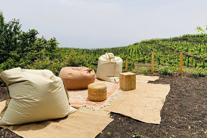 private-wine-and-food-tasting-immersed-in-nature-in-milo
