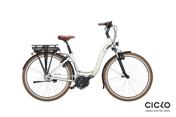 rent-an-electric-bike-with-bosch-motor