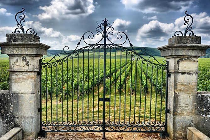 saint-emilion-day-trip-with-sightseeing-tour-wine-tastings-from-bordeaux