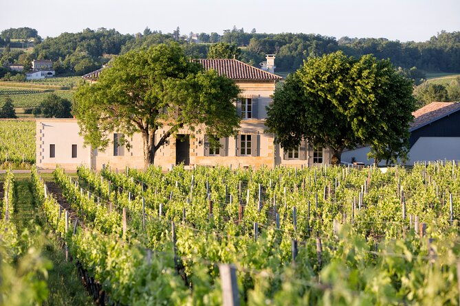 saint-emilion-half-day-trip-with-wine-tasting-winery-visit-from-bordeaux