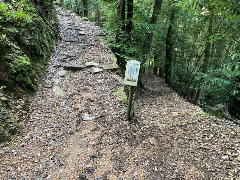 the-uji-hills-walking-tour-over-the-scenic-hills-of-uji