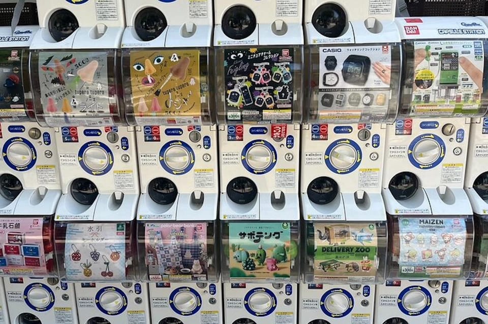 tokyo-exploring-anime-electronics-tour-in-akihabara