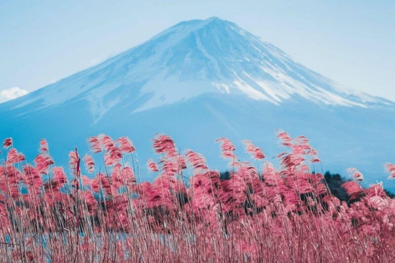 tokyo-full-day-tour-of-the-four-majestic-spots-of-mt-fuji