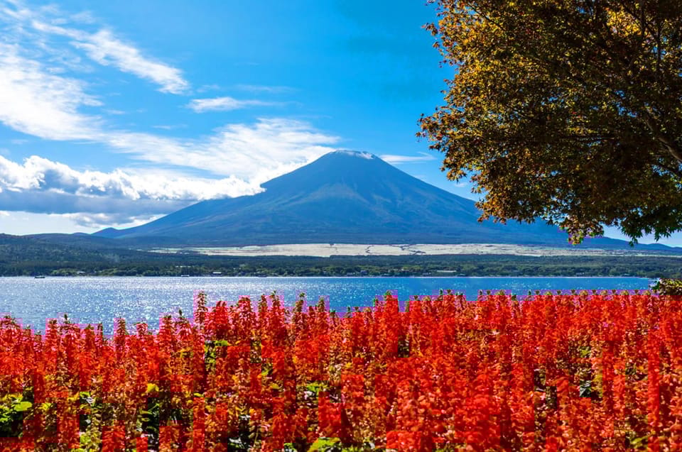 tokyo-mt-fuji-oshino-hakkai-kawaguchi-lake-1-day-trip
