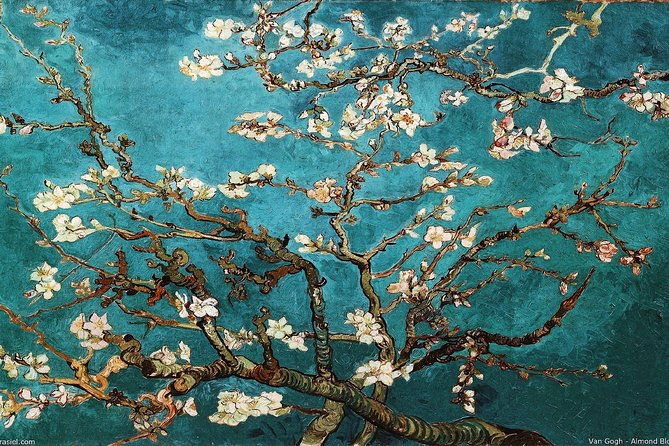 van-gogh-museum-exclusive-guided-tour-with-reserved-entry