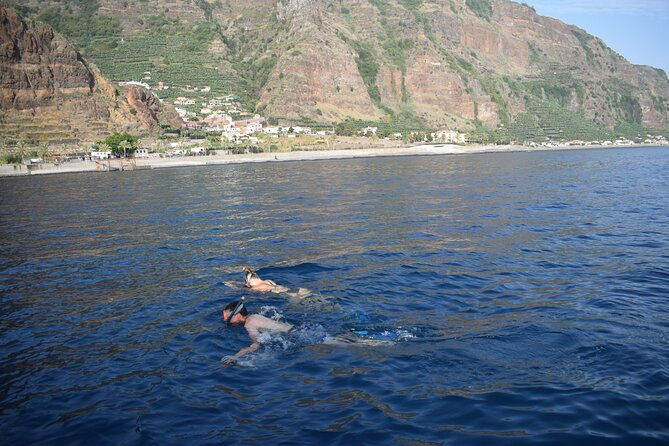 whale-and-dolphin-watching-tour-in-madeira