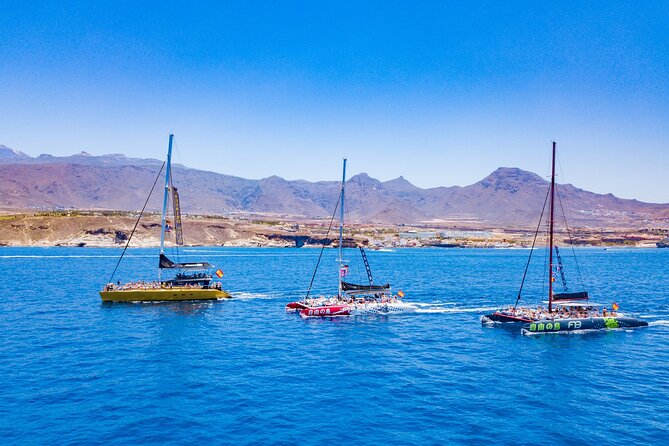 whale-watching-catamaran-to-los-gigantes-masca-including-drinks-warm-lunch