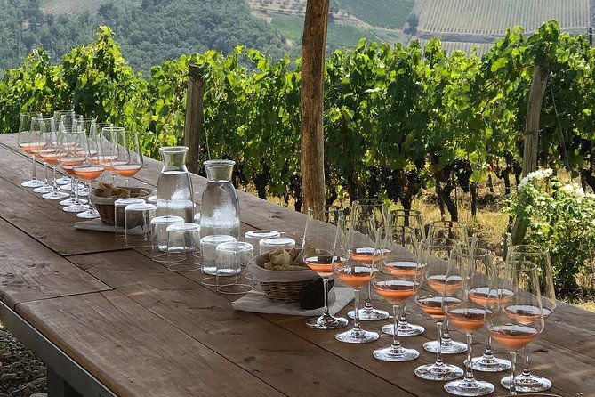 wine-safaris-off-road-tuscany-wine-tours-and-lunch-from-florence