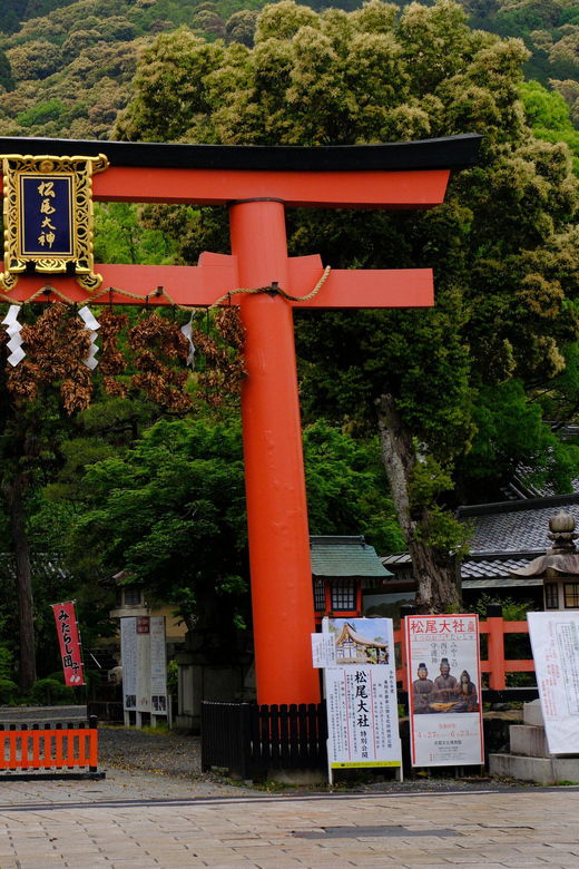 arashiyama-kyoto-goshuin-collecting-tour-shrine-stamps
