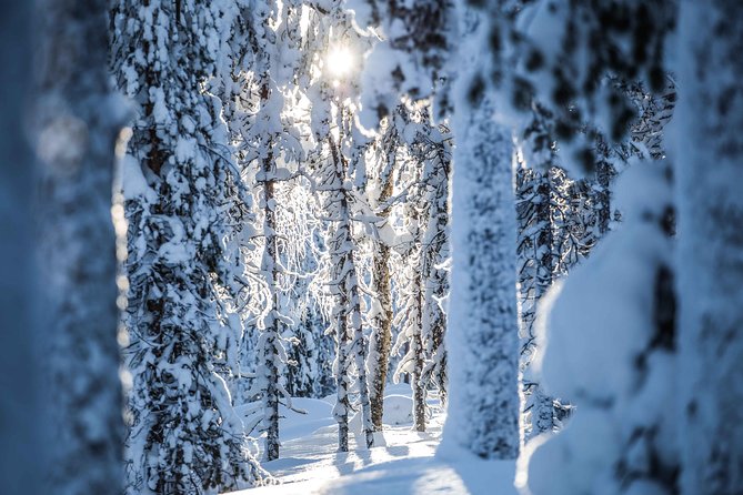 backcountry-skiing-adventure