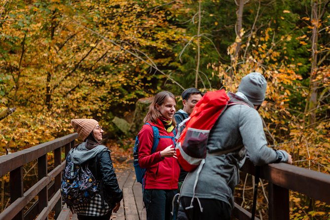 bohemian-and-saxon-switzerland-national-park-day-trip-from-prague-best-reviews