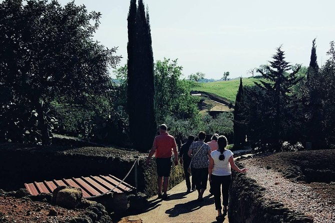 carmona-and-necropolis-guided-day-tour-from-seville