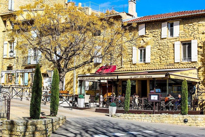 chateauneuf-du-pape-intensive-vineyard-fine-wine-experience