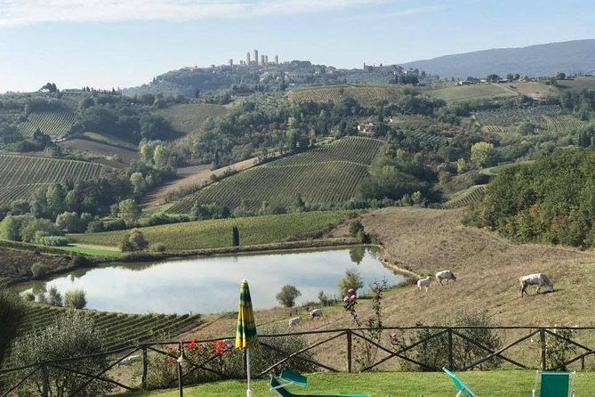 chianti-wineries-tour-with-tuscan-lunch-and-san-gimignano