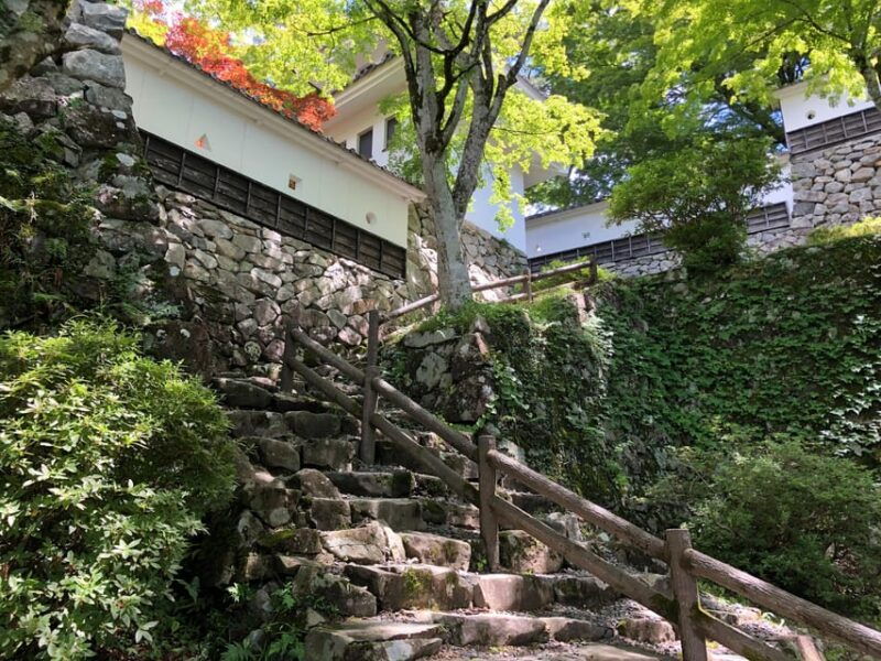 from-nagoya-gujo-hida-takayama-and-shirakawa-go-day-tour