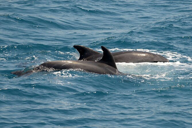 full-day-3-island-boat-cruise-from-port-of-kos
