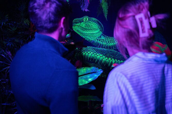 ikono-a-unique-sensory-and-photographic-experience