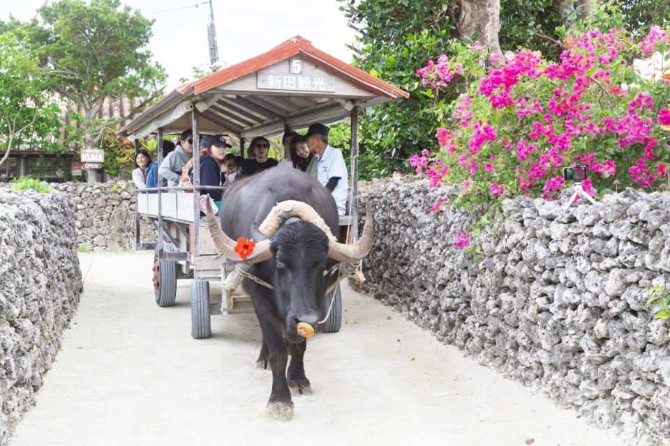 ishigaki-phantom-island-snorkeling-and-taketomi-sightseeing