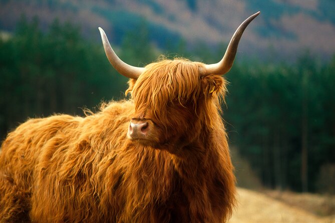 isle-of-skye-full-day-private-tour-from-inverness