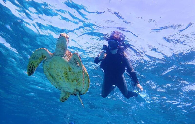 miyako-island-sea-turtle-snorkeling-tour