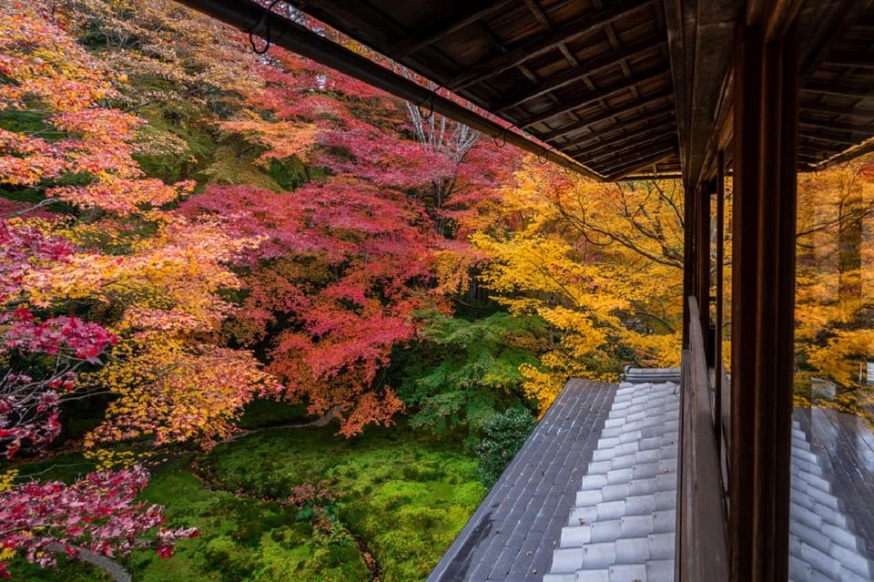 osaka-kyoto-sanzenin-arashiyama-train-bamboo-forest-tour