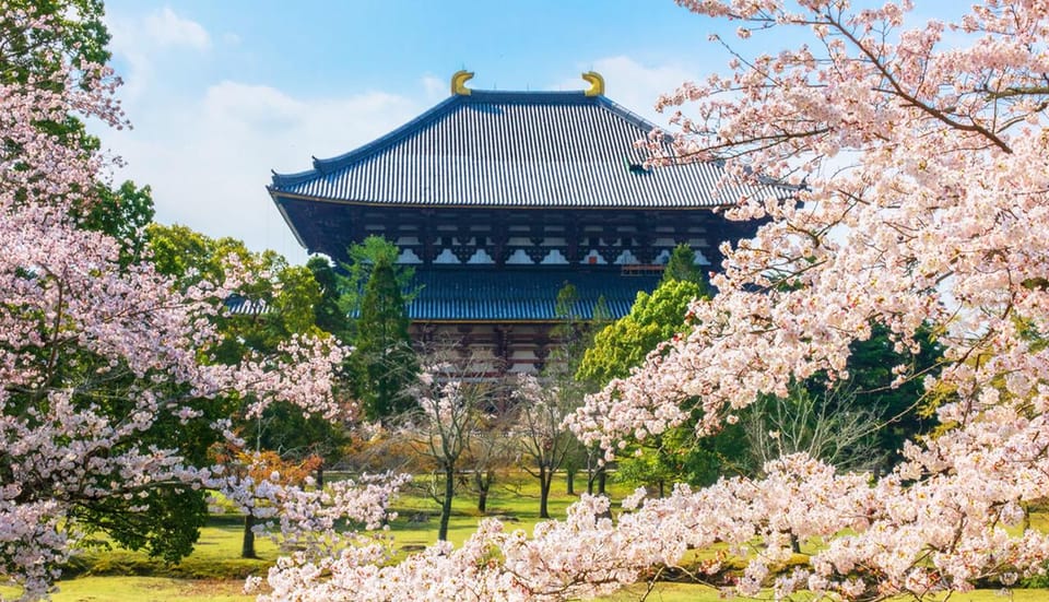osaka-nara-todaiji-uji-matcha-and-hot-spring-tour