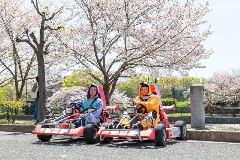 shibuya-go-karting-tour-with-funny-costume