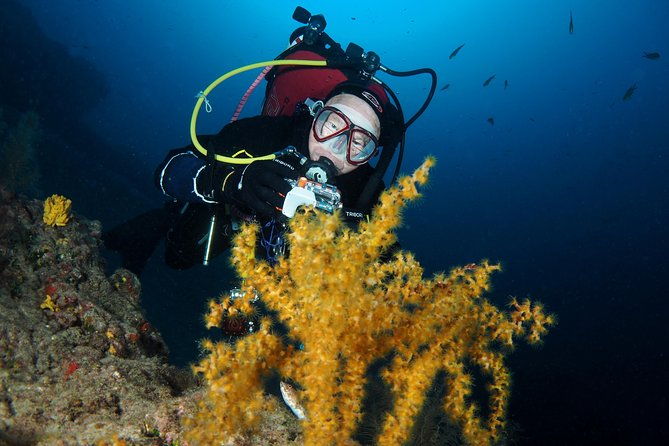single-dive-for-qualified-divers-from-shore-region-puerto-del-carmen