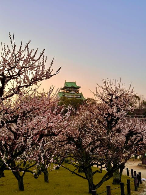 ticket-included-explore-osaka-castle-museum-of-history