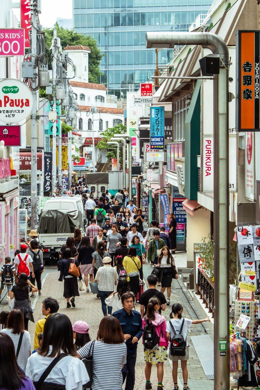 tokyo-half-day-afternoon-small-group-tour