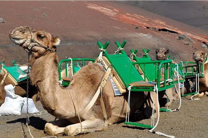 tour-to-timanfaya-jameos-del-agua-cueva-de-los-verdes-and-viewpoint-from-the-cliff
