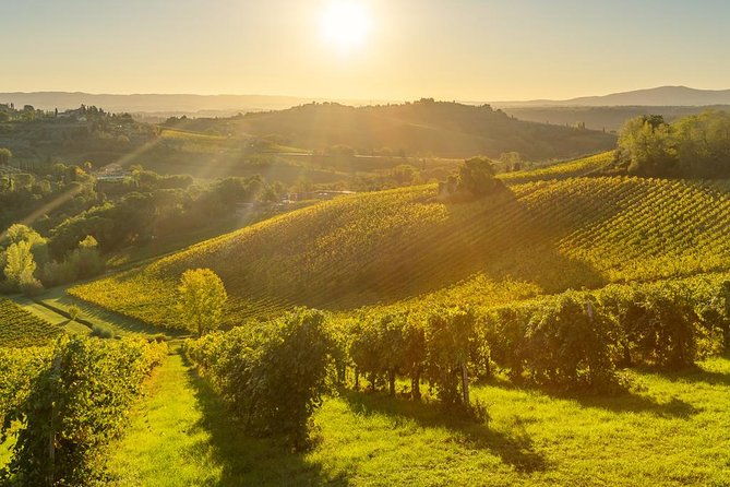 tuscan-chianti-hills-horseback-riding-tour