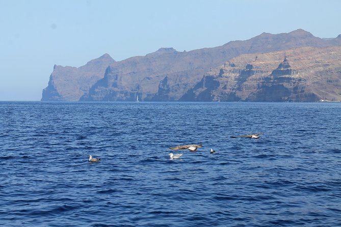 3h-boat-trip-snorkeling-in-puerto-de-mogan
