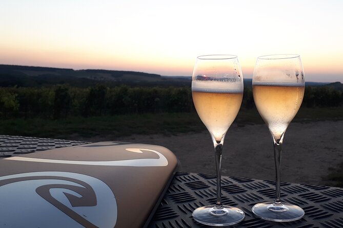 champagne-tasting-panoramic-walk-in-the-vineyards