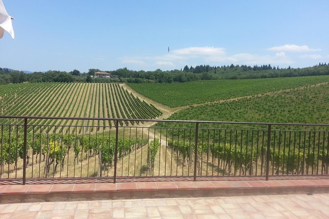 essence-of-chianti-small-group-tour-with-lunch-and-tastings-from-florence
