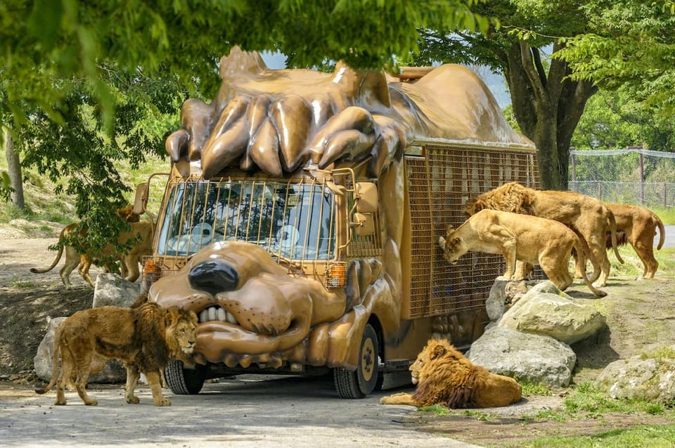 fukuokaday-trip-to-yufuin-beppu-hell-onsen-and-animal-park